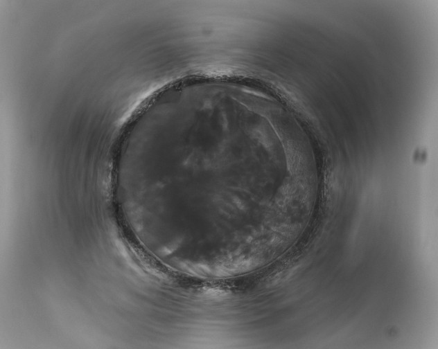 X0000113060592200909110917