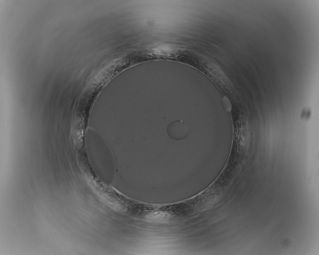 X0000113060593200909110917