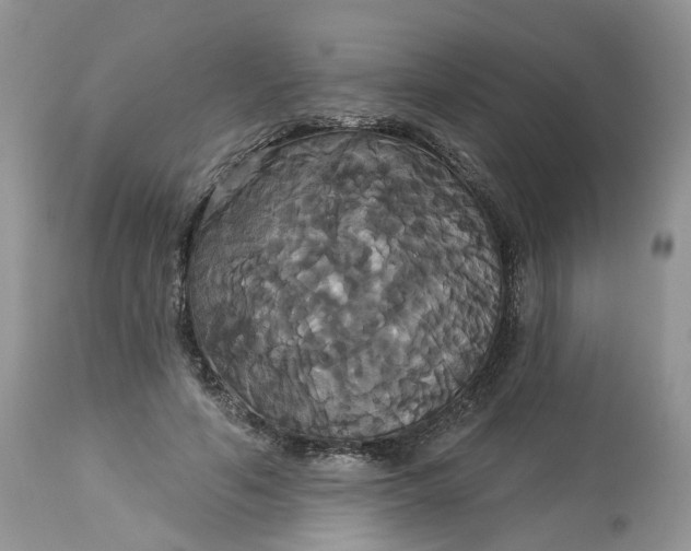 X0000113060594200909110917