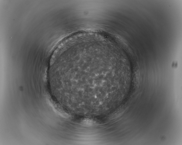 X0000113060596200909110917