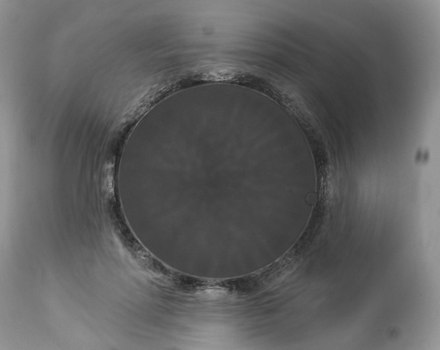 X0000113060598200909110917