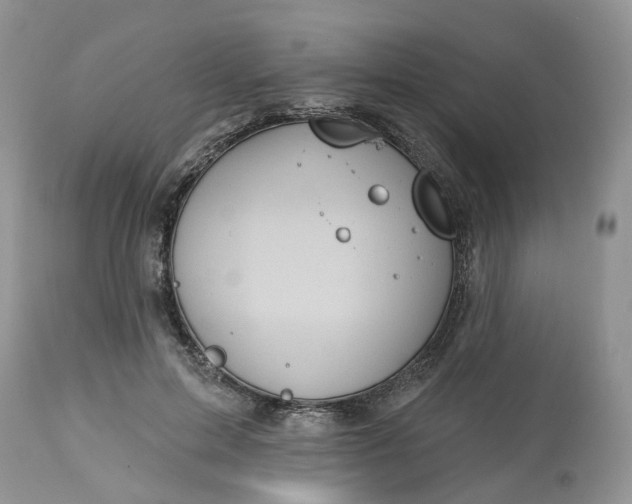 X0000113060599200909110917
