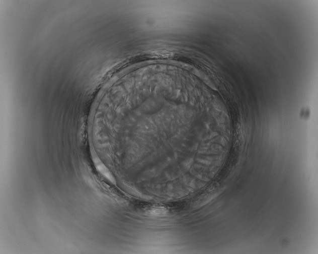 X0000113060600200909110917