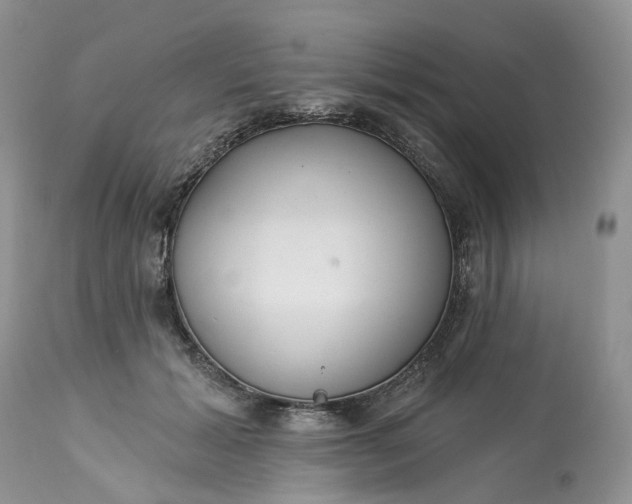 X0000113060605200909110917
