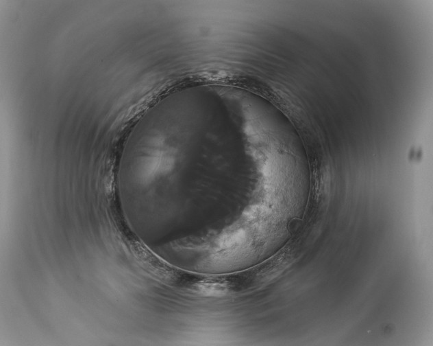 X0000113060606200909110917
