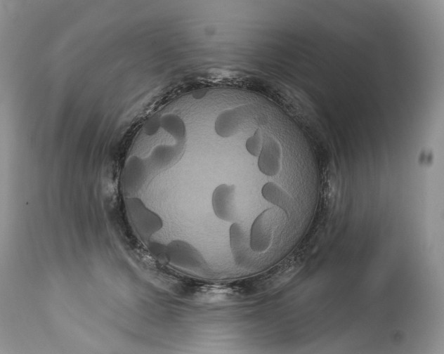 X0000113060607200909110917