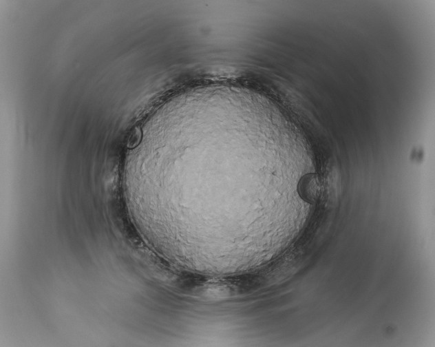 X0000113060608200909110917