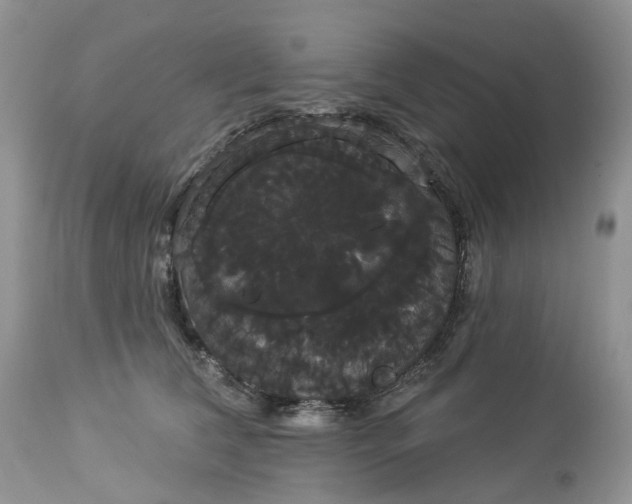 X0000113060612200909110917