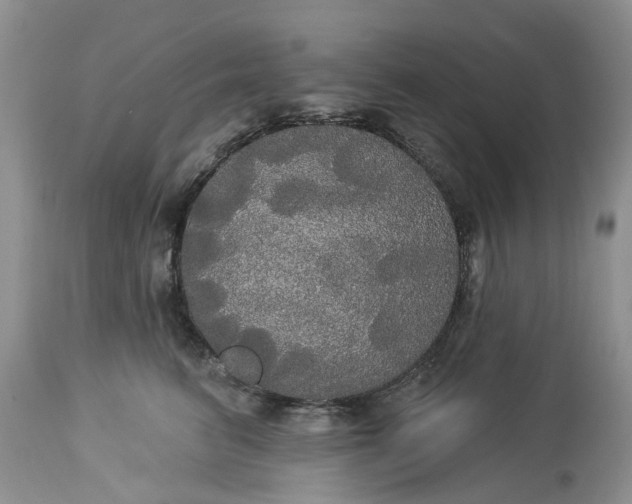 X0000113060615200909110917