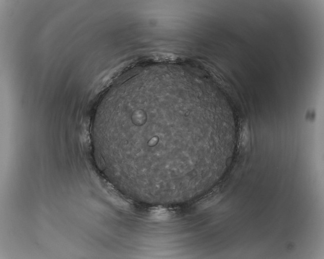 X0000113060616200909110917