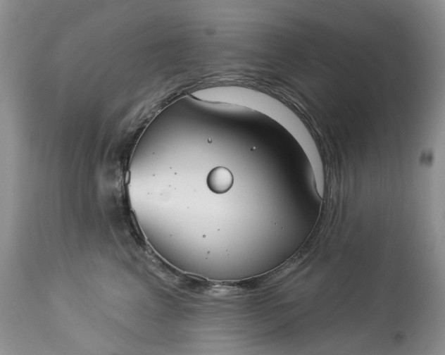 X0000113060617200909110917