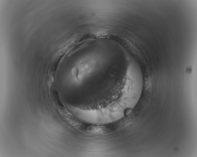 X0000113060618200909110917