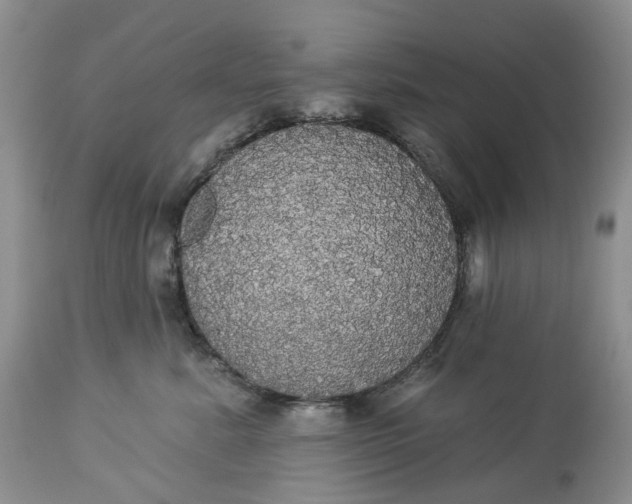 X0000113060619200909110917