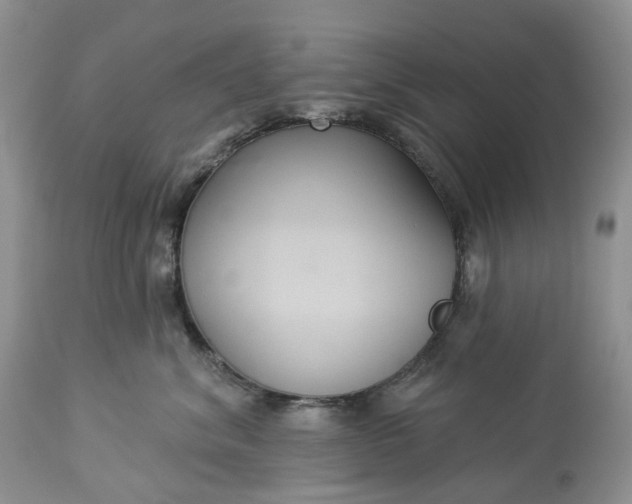 X0000113060620200909110917