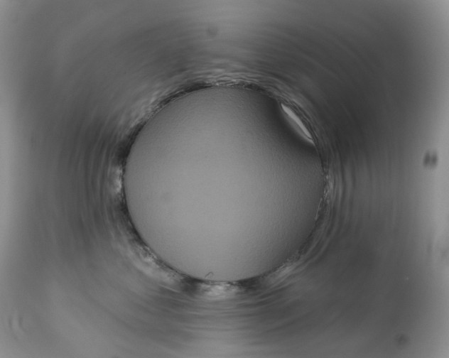 X0000113060621200909110917