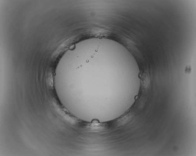 X0000113060622200909110917