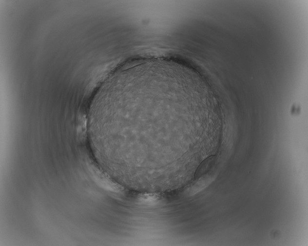 X0000113060624200909110917