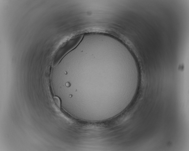 X0000113060625200909110916
