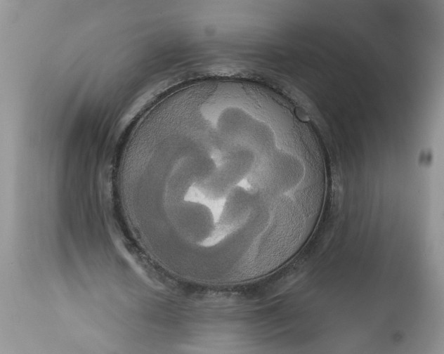 X0000113060626200909110916