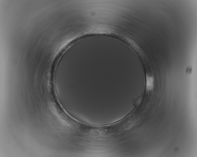 X0000113060627200909110916