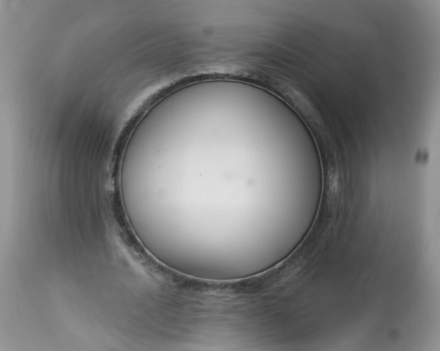 X0000113060628200909110916