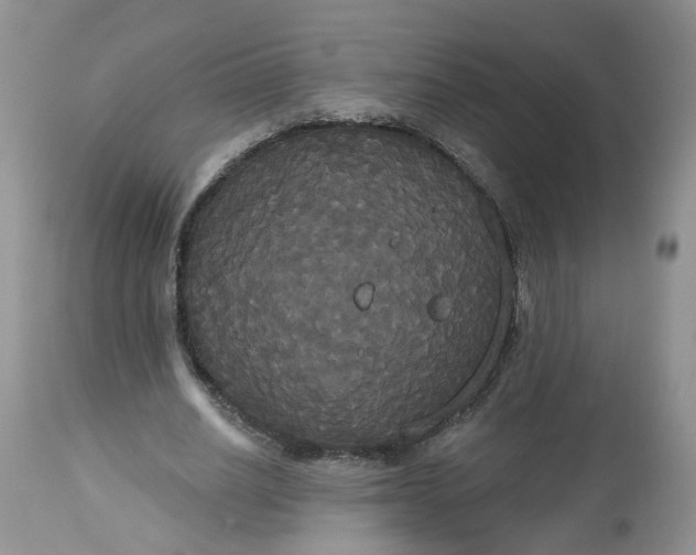 X0000113060630200909110916