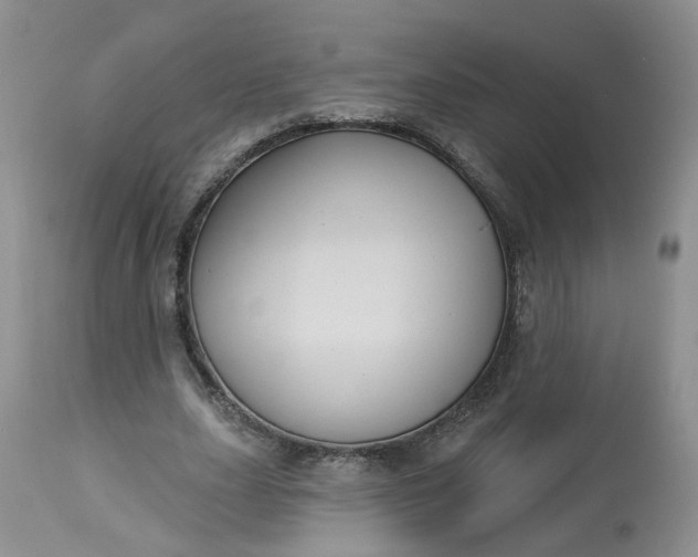 X0000113060631200909110916