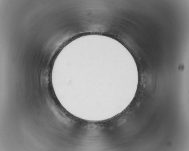 X0000113060632200909110916