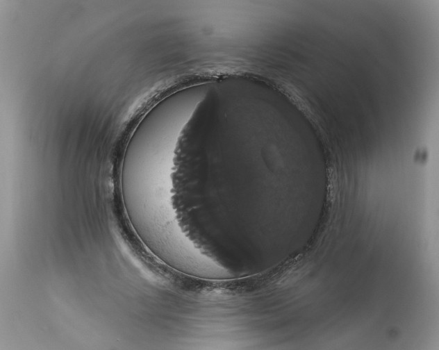 X0000113060634200909110916