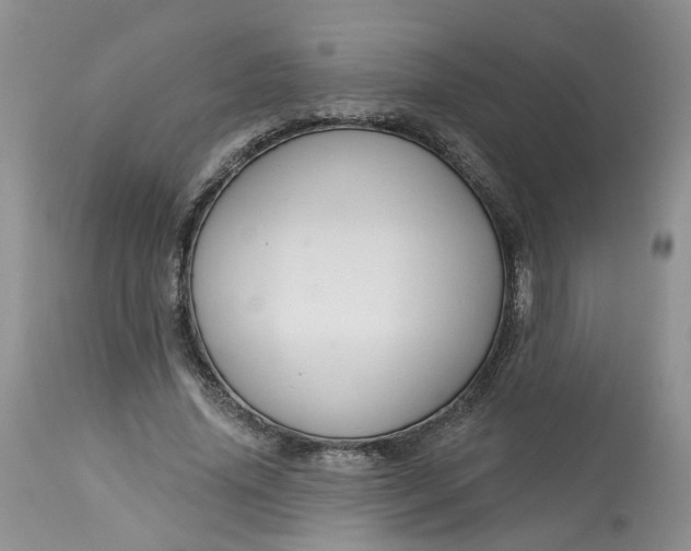 X0000113060636200909110916