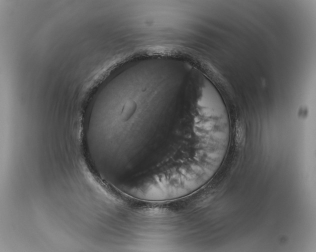 X0000113060637200909110916