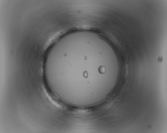 X0000113060638200909110916