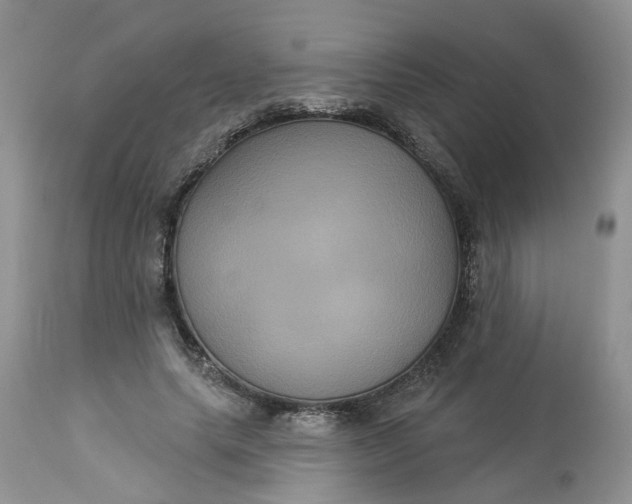 X0000113060639200909110916