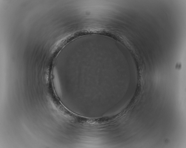 X0000113060640200909110916