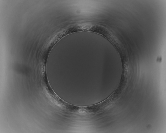 X0000113060641200909110916
