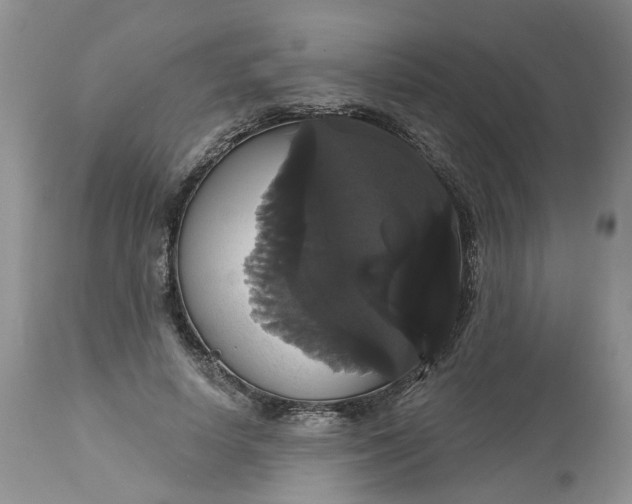 X0000113060642200909110916