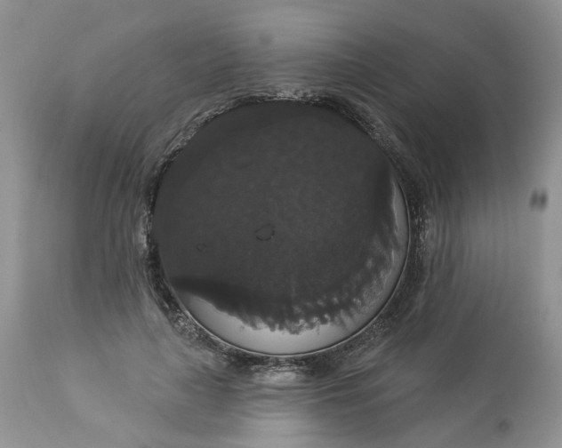 X0000113060643200909110916
