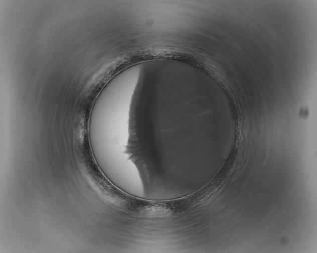 X0000113060644200909110916
