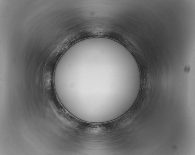 X0000113060646200909110916