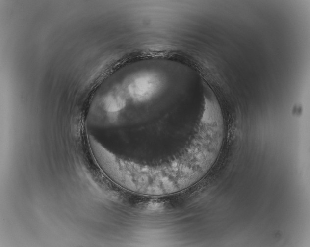 X0000113060647200909110916