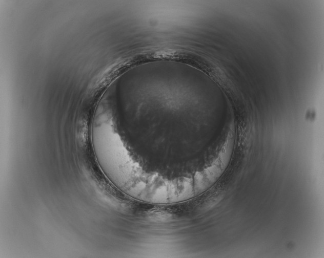 X0000113060648200909110916