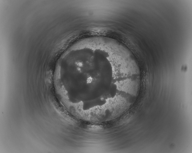 X0000113060649200909110916