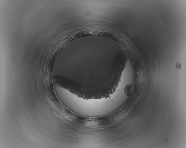 X0000113060653200909110916