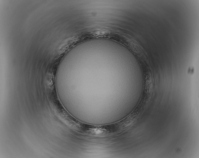 X0000113060654200909110916