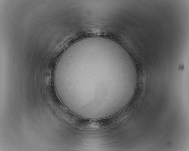 X0000113060656200909110916