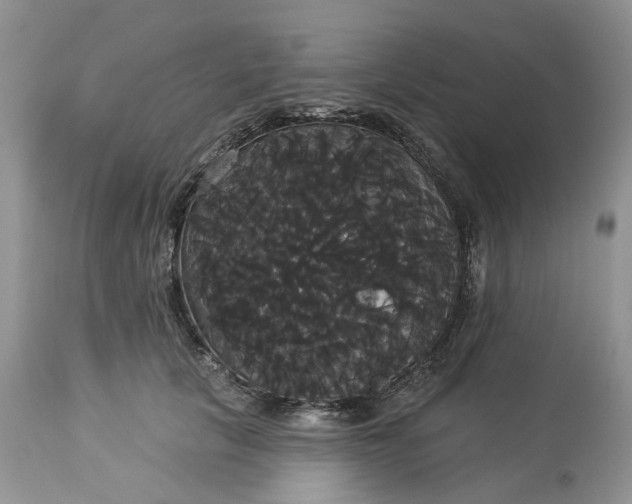 X0000113060657200909110916
