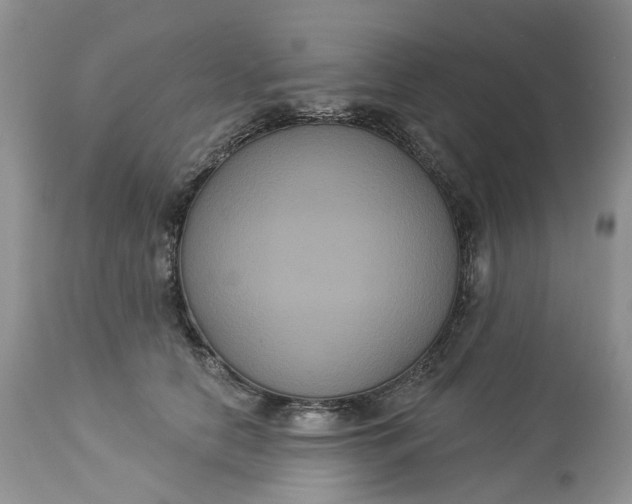 X0000113060658200909110916