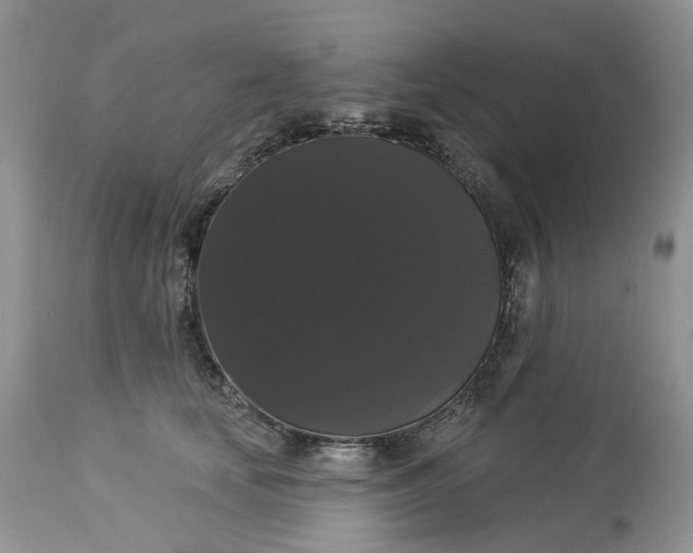 X0000113060659200909110916