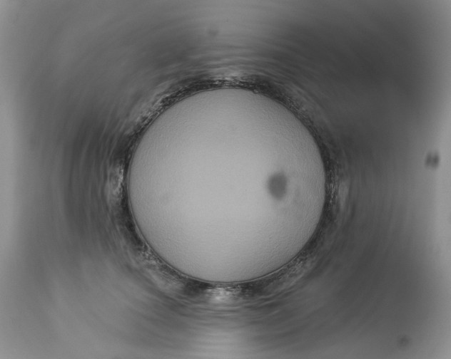 X0000113060660200909110916