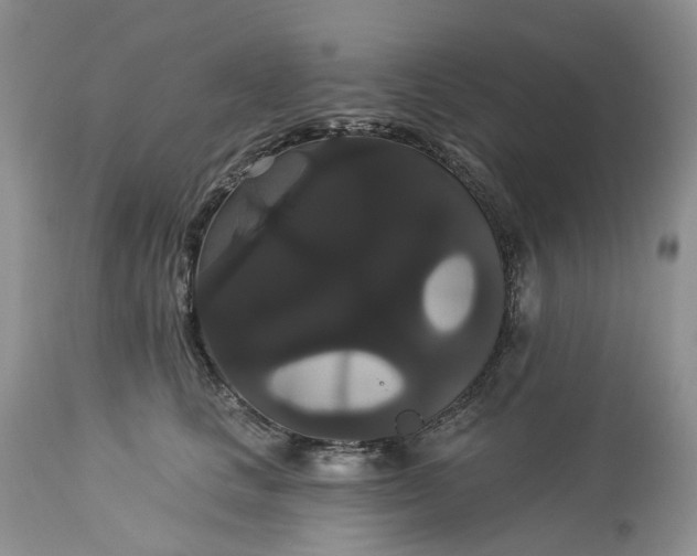 X0000113060661200909110916